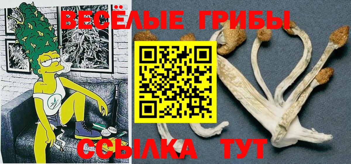 Галлюциногенные грибы GOLDEN TEACHER Надым