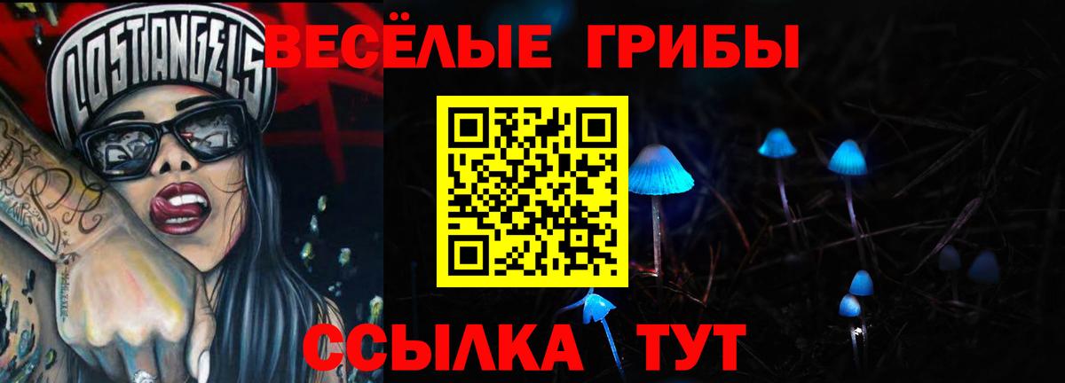 Псилоцибиновые грибы ЛСД  Псилоцибиновые грибы мухоморы  магазин продажи   Надым  Вход с VPN 